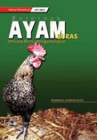 BETERNAK AYAM BURUS