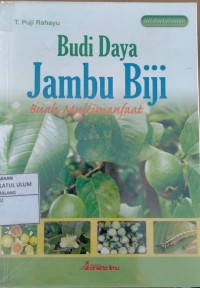 BUDI DAYA JAMBU BIJI
