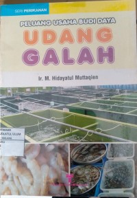 Image of PELUANG USAHA BUDI DAYA UDANG GALAH