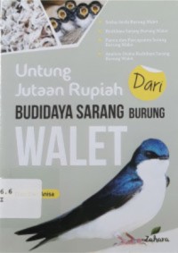 UNTUNG JUTAAN RUPIAH BUDIDAYA SARANG BURUNG WALET